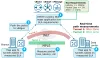 Application-Aware Routing (App-route) Policy
