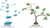 The Spanning-Tree Algorithm
