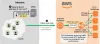 Load Balancer